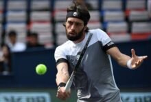 nikoloz basilashvili heart attack