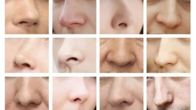 most attractive nose shape